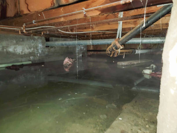 Best 24-hour water damage restoration  in Crugers, NY