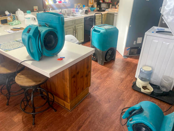 Best Water damage restoration near me  in Crugers, NY