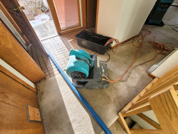 Best Mold removal after water damage  in Crugers, NY